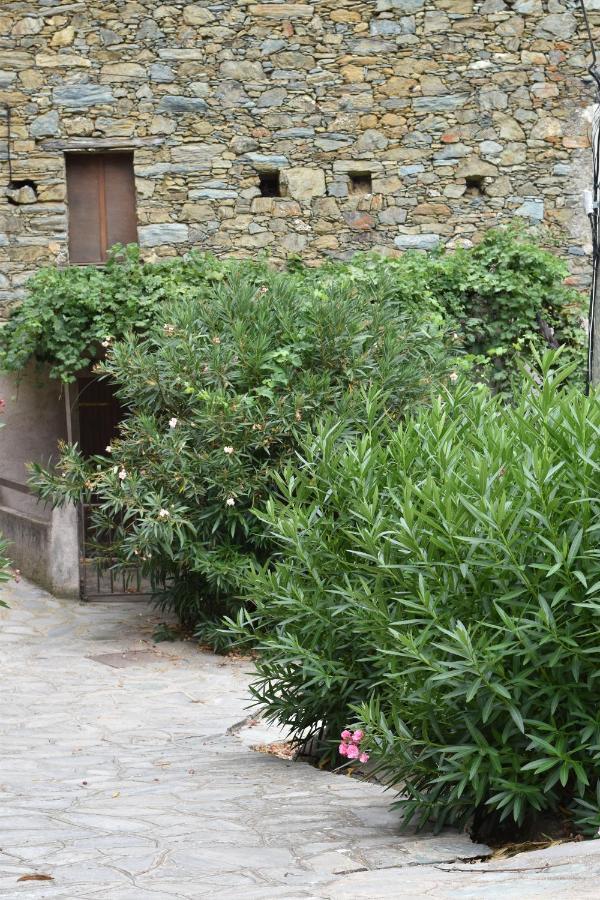 Maison De Village Avec Vue Sur Les Montagnes Bigorno المظهر الخارجي الصورة